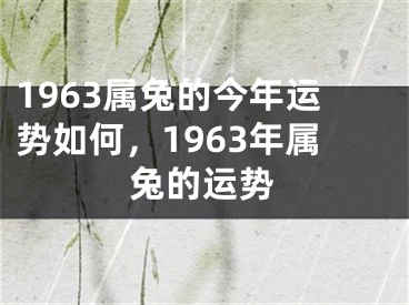 1963属兔的今年运势如何，1963年属兔的运势