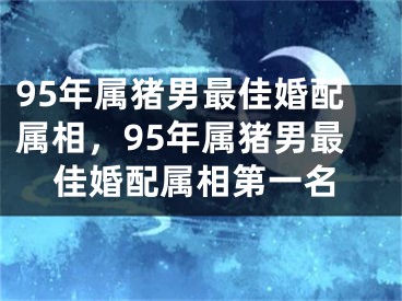 95年属猪男最佳婚配属相，95年属猪男最佳婚配属相第一名