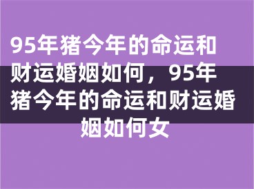 95年猪今年的命运和财运婚姻如何，95年猪今年的命运和财运婚姻如何女
