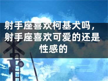 射手座喜欢柯基犬吗,射手座喜欢可爱的还是性感的