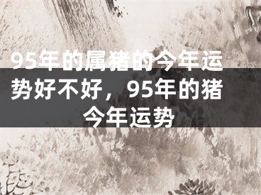 95年的属猪的今年运势好不好，95年的猪今年运势