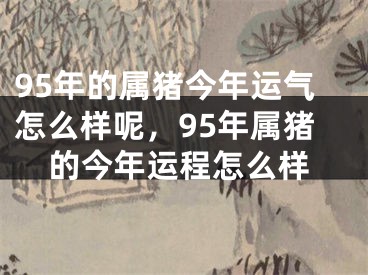 95年的属猪今年运气怎么样呢，95年属猪的今年运程怎么样