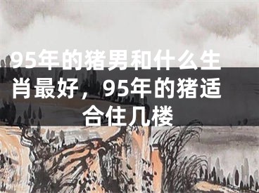 95年的猪男和什么生肖最好，95年的猪适合住几楼