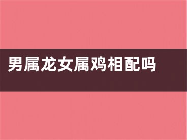 男属龙女属鸡相配吗 