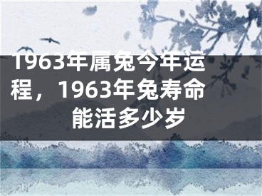 1963年属兔今年运程，1963年兔寿命能活多少岁