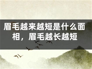 眉毛越来越短是什么面相，眉毛越长越短