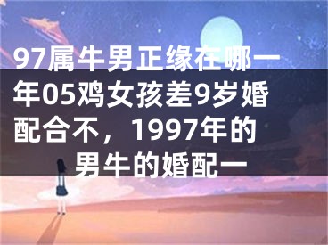 97属牛男正缘在哪一年05鸡女孩差9岁婚配合不，1997年的男牛的婚配一
