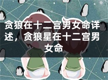 贪狼在十二宫男女命详述,贪狼星在十二宫男女命