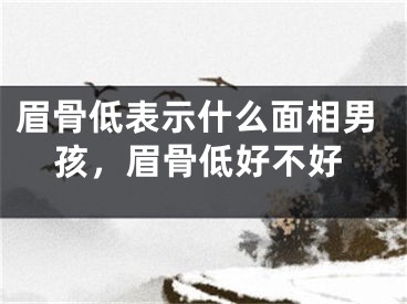 眉骨低表示什么面相男孩,眉骨低好不好