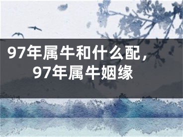 97年属牛和什么配，97年属牛姻缘