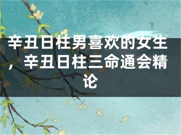 辛丑日柱男喜欢的女生，辛丑日柱三命通会精论