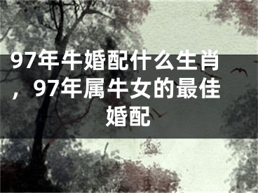 97年牛婚配什么生肖，97年属牛女的最佳婚配