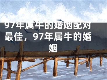 97年属牛的婚姻配对最佳,97年属牛的婚姻