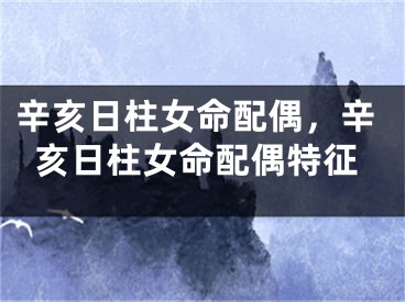 辛亥日柱女命配偶，辛亥日柱女命配偶特征