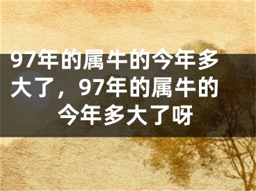 97年的属牛的今年多大了，97年的属牛的今年多大了呀