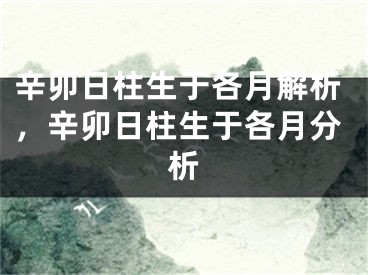 辛卯日柱生于各月解析，辛卯日柱生于各月分析