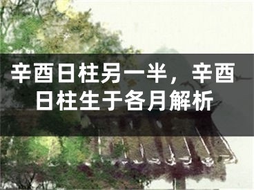 辛酉日柱另一半，辛酉日柱生于各月解析