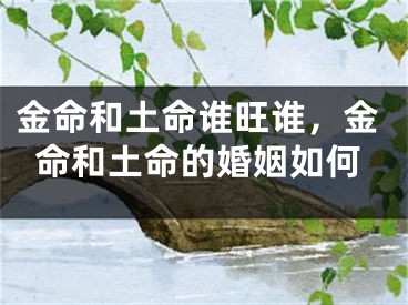 金命和土命谁旺谁,金命和土命的婚姻如何