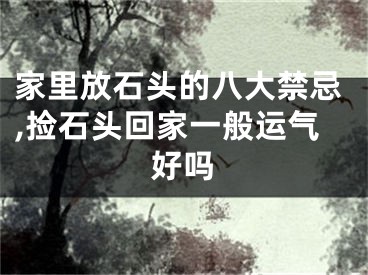 家里放石头的八大禁忌,捡石头回家一般运气好吗