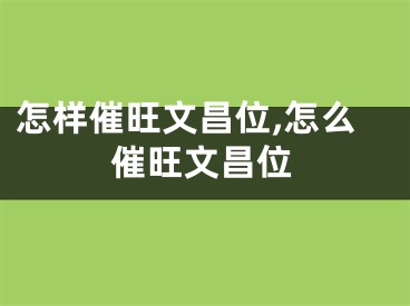 怎样催旺文昌位,怎么催旺文昌位