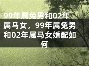 99年属兔男和02年属马女，99年属兔男和02年属马女婚配如何