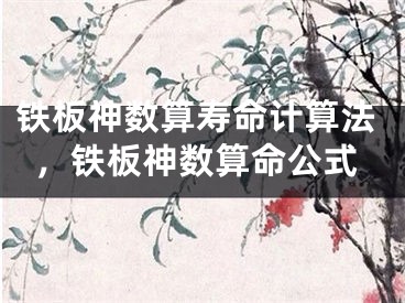 铁板神数算寿命计算法，铁板神数算命公式
