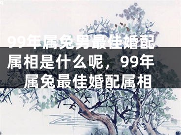 99年属兔男最佳婚配属相是什么呢,99年属兔最佳婚配属相