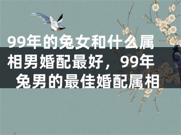 99年的兔女和什么属相男婚配最好,99年兔男的最佳婚配属相