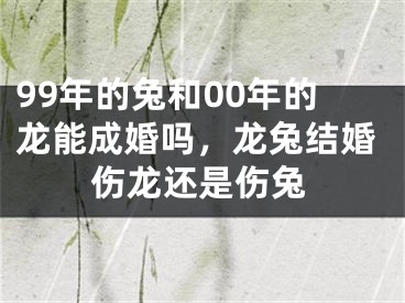 99年的兔和00年的龙能成婚吗,龙兔结婚伤龙还是伤兔