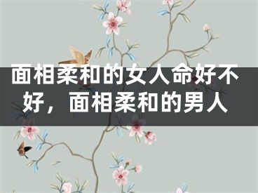 面相柔和的女人命好不好，面相柔和的男人