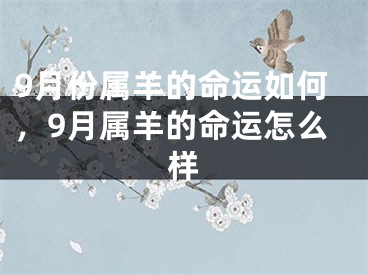9月份属羊的命运如何,9月属羊的命运怎么样