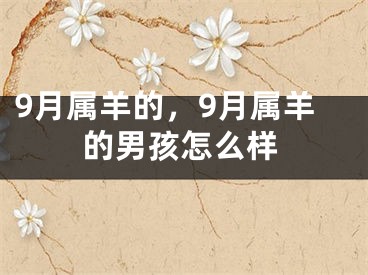 9月属羊的，9月属羊的男孩怎么样