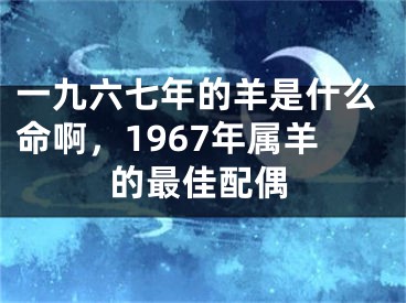 一九六七年的羊是什么命啊，1967年属羊的最佳配偶