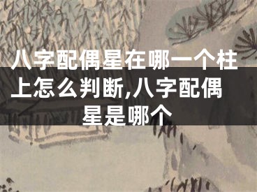 八字配偶星在哪一个柱上怎么判断,八字配偶星是哪个