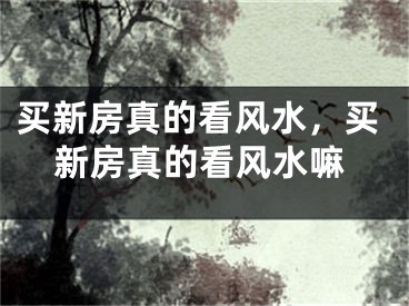 买新房真的看风水，买新房真的看风水嘛