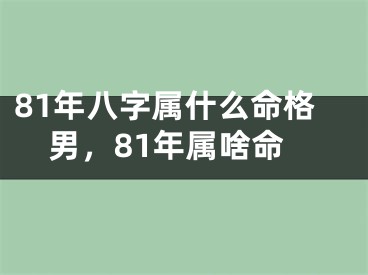 81年八字属什么命格男,81年属啥命