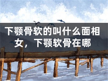 下颚骨软的叫什么面相女，下颚软骨在哪