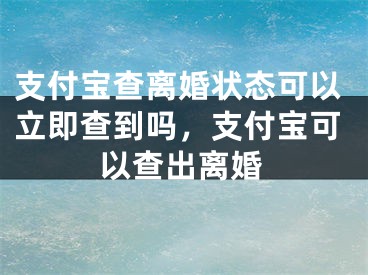 支付宝查离婚状态可以立即查到吗，支付宝可以查出离婚