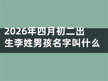 2026年四月初二出生李姓男孩名字叫什么