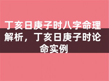 丁亥日庚子时八字命理解析，丁亥日庚子时论命实例