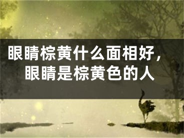 眼睛棕黄什么面相好，眼睛是棕黄色的人