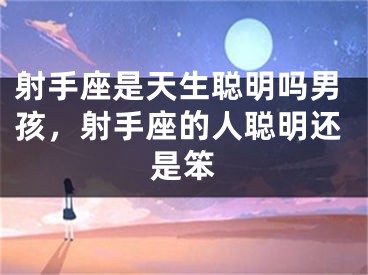 射手座是天生聪明吗男孩,射手座的人聪明还是笨