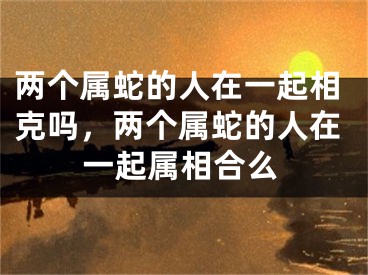 两个属蛇的人在一起相克吗，两个属蛇的人在一起属相合么