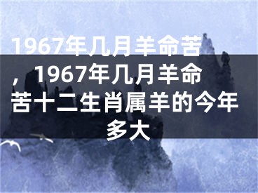 1967年几月羊命苦，1967年几月羊命苦十二生肖属羊的今年多大