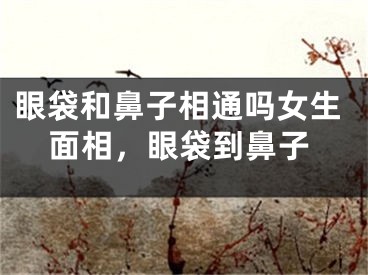 眼袋和鼻子相通吗女生面相,眼袋到鼻子