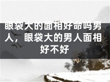 眼袋大的面相好命吗男人，眼袋大的男人面相好不好