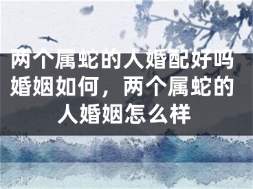 两个属蛇的人婚配好吗婚姻如何,两个属蛇的人婚姻怎么样