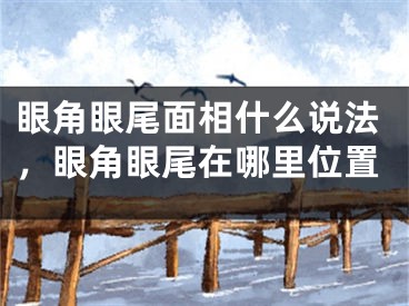 眼角眼尾面相什么说法，眼角眼尾在哪里位置