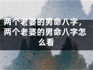 两个老婆的男命八字，两个老婆的男命八字怎么看