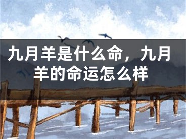 九月羊是什么命,九月羊的命运怎么样